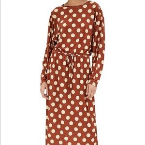 Zara Brown Polka Dot Midi Dress